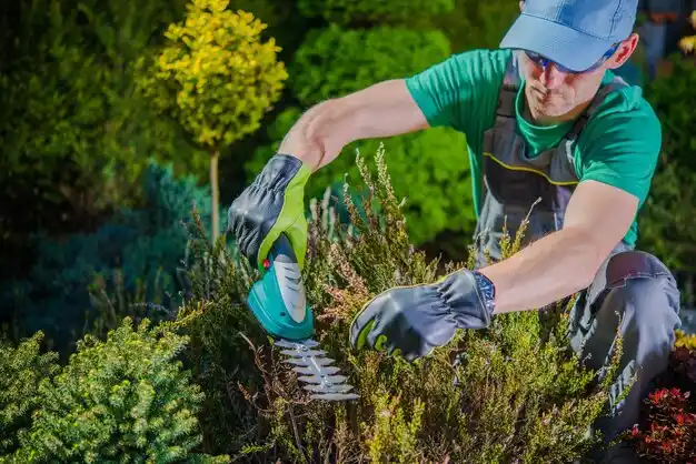 landscaping services Reminderville